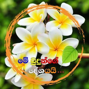 Meet your Posher, Manohari